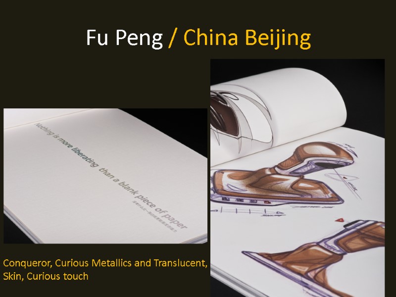 Fu Peng / China Beijing  Conqueror, Curious Metallics and Translucent,  Skin, Curious